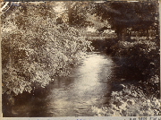 AR_1981_176_1_001.jpg
