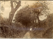 AR_1981_176_1_002.jpg