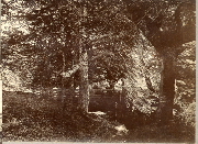AR_1981_176_1_004.jpg