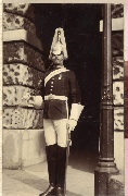 AR_1981_176_1_030.jpg