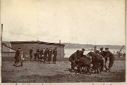 AR_1981_176_1_050.jpg