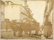 AR_1981_176_1_074.jpg