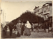AR_1981_176_1_075.jpg