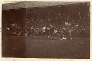 AR_1981_176_1_102.jpg
