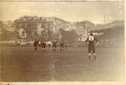 AR_1981_176_1_103.jpg