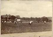AR_1981_176_1_104.jpg