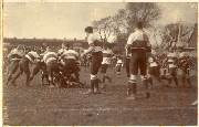 AR_1981_176_1_107.jpg