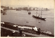 AR_1981_176_1_114.jpg
