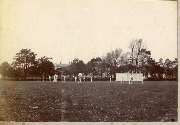 AR_1981_176_1_115.jpg