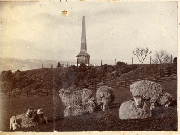 AR_1981_176_1_131.jpg
