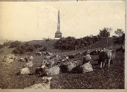 AR_1981_176_1_135.jpg
