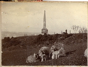 AR_1981_176_1_137.jpg