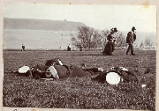 AR_1981_176_1_140.jpg