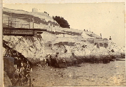 AR_1981_176_1_143.jpg