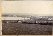 AR_1981_176_1_175.jpg