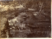 AR_1981_176_1_177.jpg