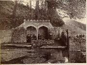 AR_1981_176_1_179.jpg