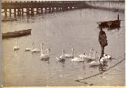 AR_1981_176_1_183.jpg