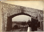 AR_1981_176_1_185.jpg