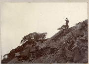 AR_1981_176_1_188.jpg