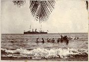 AR_1981_176_1_196.jpg