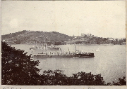 AR_1981_176_1_198.jpg