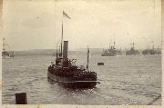 AR_1981_176_1_202.jpg