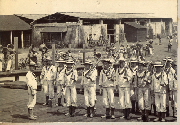 AR_1981_176_1_211.jpg