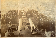AR_1981_176_1_339.jpg