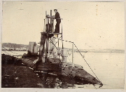 AR_1981_176_1_344.jpg