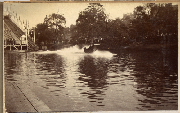 AR_1981_176_1_363.jpg
