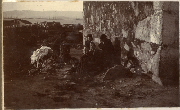 AR_1981_176_1_365.jpg