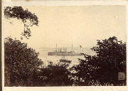 AR_1981_176_1_370.jpg