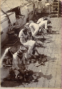 AR_1981_176_1_382.jpg
