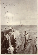 AR_1981_176_1_384.jpg
