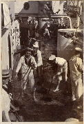 AR_1981_176_1_385.jpg