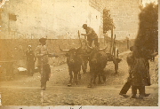AR_1981_176_1_405.jpg