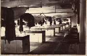 AR_1981_176_1_411.jpg