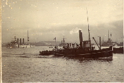 AR_1981_176_1_416.jpg
