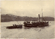 AR_1981_176_1_417.jpg