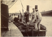 AR_1981_176_1_418.jpg
