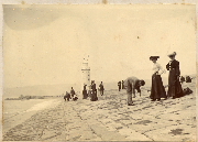 AR_1981_176_1_429.jpg