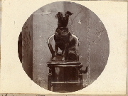 AR_1981_176_1_437.jpg