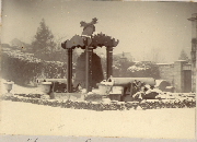 AR_1981_176_1_443.jpg