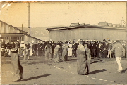 AR_1981_176_1_446.jpg