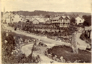 AR_1981_176_1_456.jpg