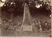 AR_1981_176_1_457.jpg