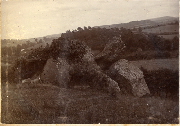 AR_1981_176_1_458.jpg