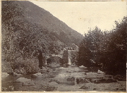 AR_1981_176_1_460.jpg