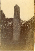 AR_1981_176_1_470.jpg